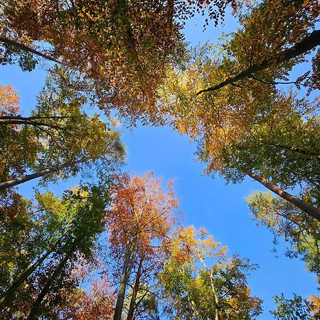 Fewo Am Wald Бёк Экстерьер фото