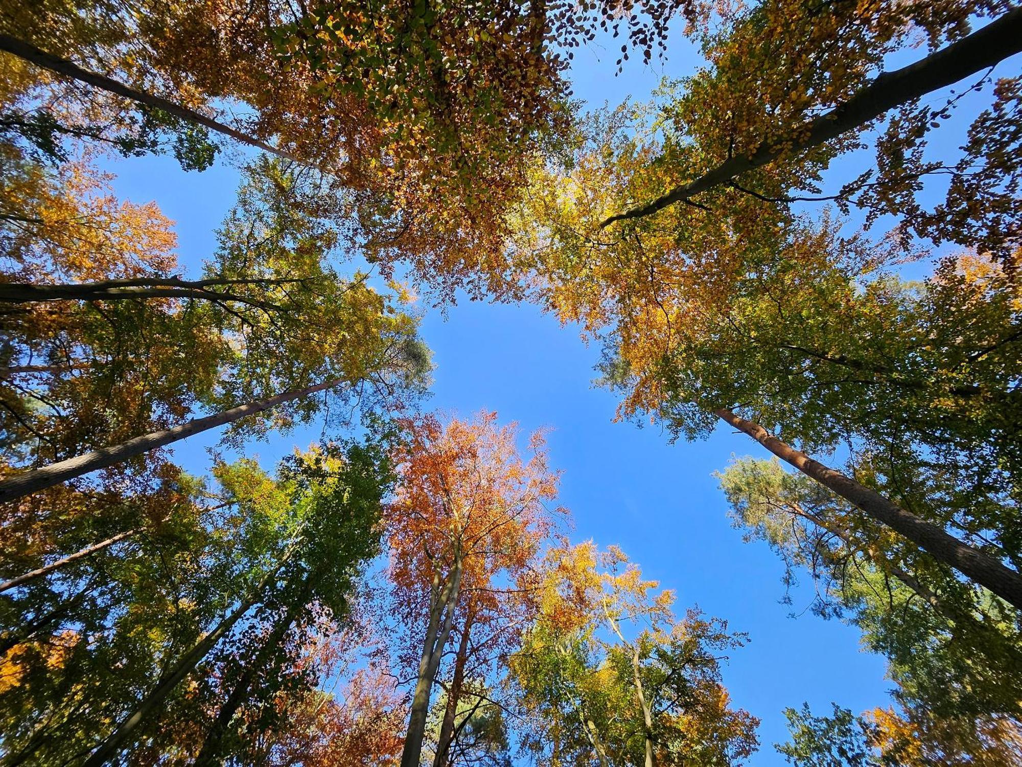 Fewo Am Wald Бёк Экстерьер фото